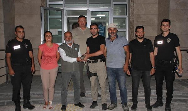 Emniyet bahçesinde yaralı bulunan balabana tedavi