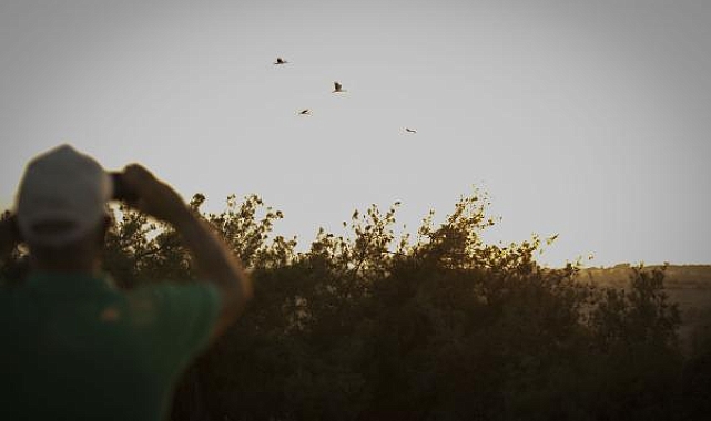 Göçmen kuşlar, Mersin'den Afrika'ya uğurlandı