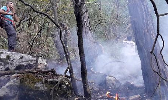 Kemer yangınında duman tüten noktalara 15 kilometre yürüyüp, müdahale ediyorlar