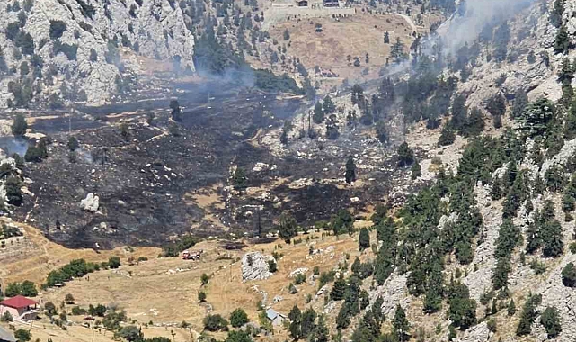Kırsal alan yangınında 1 hektar zarar gördü