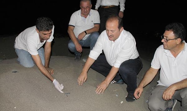 Mersin'de deniz kaplumbağalarının denize yolculuğu başladı