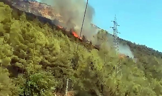 Mersin'deki orman yangınında 2,5 hektar alan zarar gördü, çıkış sebebi araştırılıyor