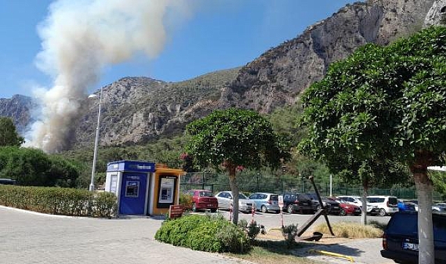 Milas'ta orman yangını
