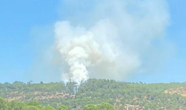 Muğla'da 1 hektar orman yandı