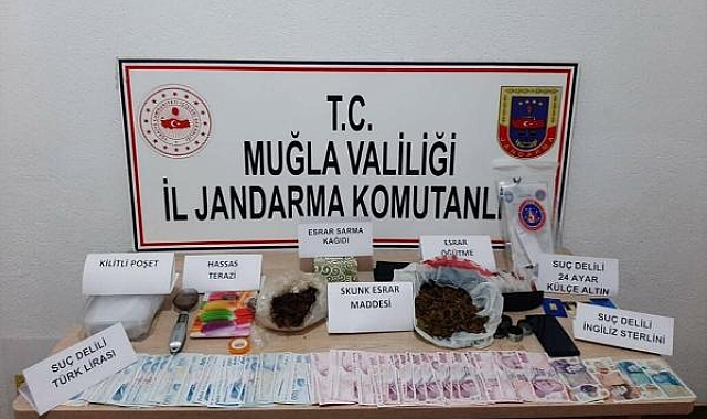 Muğla'nın 7 ilçesinde uyuşturucu operasyonu: 31 gözaltı