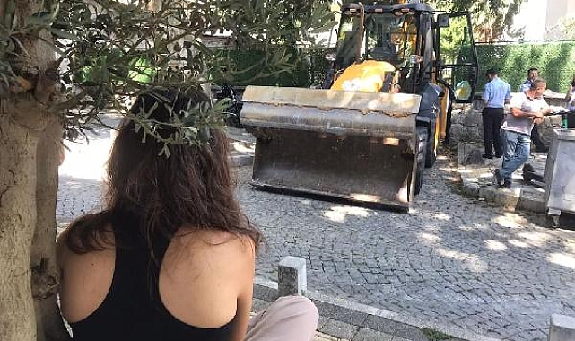 Sarıyer'de zeytin ağacı tartışması: Kendini ağaca zincirledi