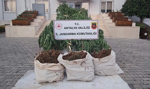 Serik'te jandarmadan uyuşturucu operasyonu: 3 gözaltı