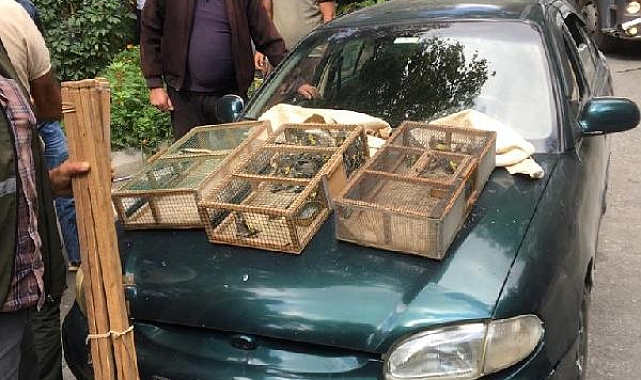 30 saka kuşu avına 73 bin lira ceza