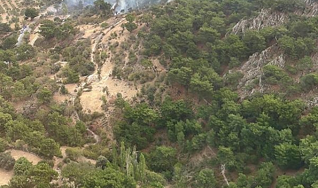 Bergama'da orman yangını, 2 saatte söndürüldü