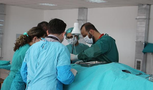Bilim için 'kadavra gönüllüsü' aranıyor