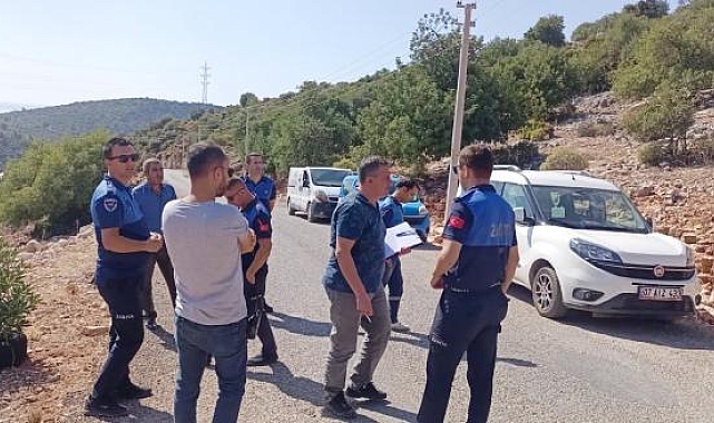 Dağda ağaca bağlı köpeklerin açlık ve susuzluğa terk edildiği iddiasına inceleme