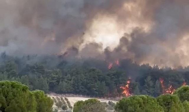 İzmir'de orman yangını