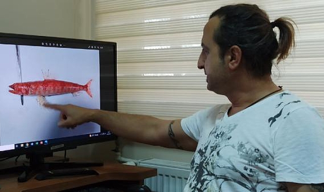 Kızıldeniz'de yaşayan balık türü ilk kez Akdeniz'de görüldü