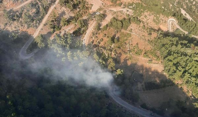 Muğla'da orman yangınında 1 hektar alan zarar gördü
