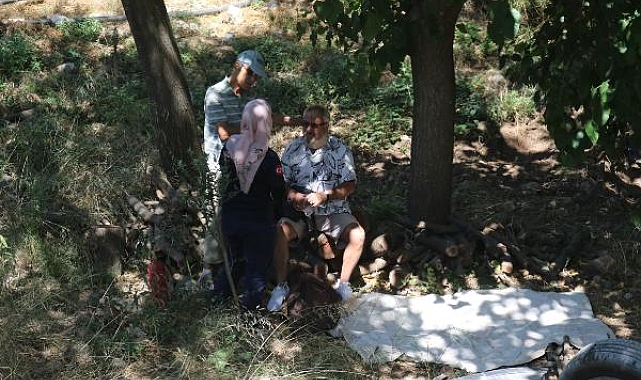 Otomobil dere yatağına düştü; sürücü yaralı