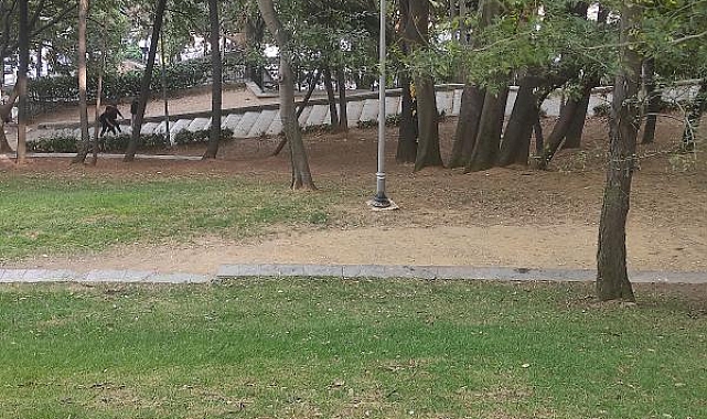-Tiyatro ve dizi oyuncusu Seda Fettahoğlu parkta ölü bulundu