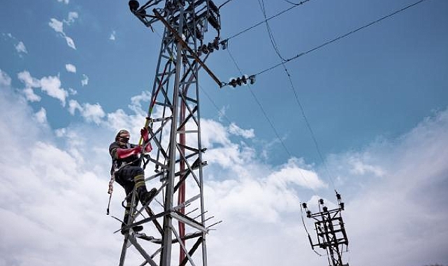 Toroslar EDAŞ, en çok yatırım yapan elektrik dağıtım şirketi oldu 