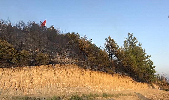 Aksu'da çıkan orman yangını söndürüldü