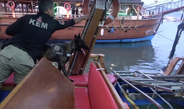 Alanya'da narkotik ekipleri yatlar ve gezi teknelerini denetledi