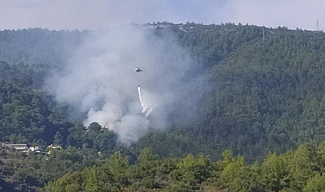 Alanya'da orman yangını