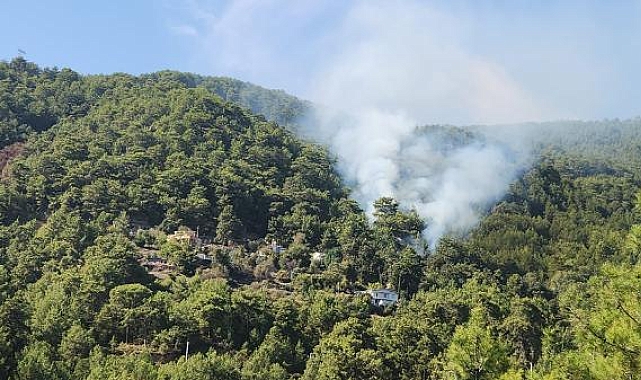 Antalya'da 2 dönüm orman yandı