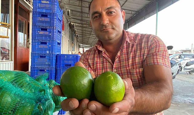 Antalya'da halde limon 3 TL'ye kadar düştü
