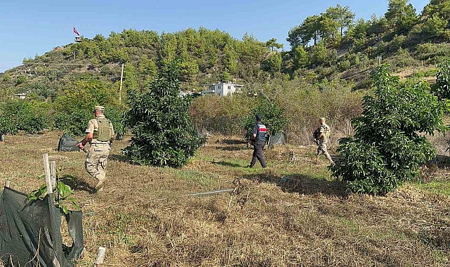 Antalya'nın meyveleri onlara emanet