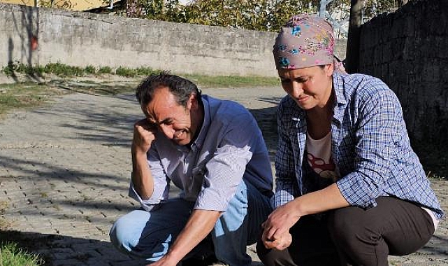 Baktığı köpekler darbedilip, öldürüldü