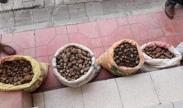 Biyokaçakçılara 5,6 milyon TL ceza