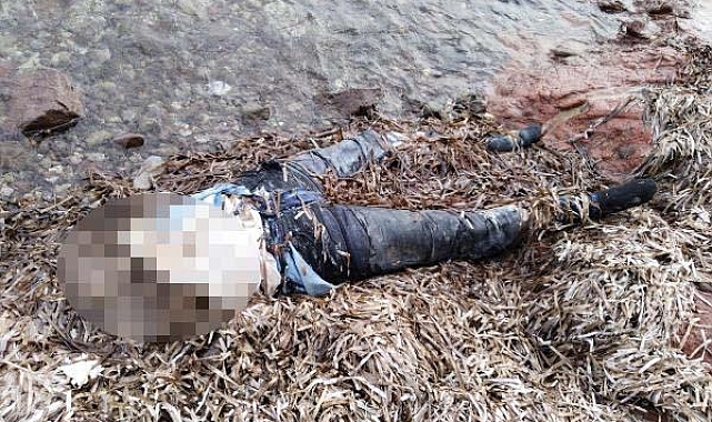 Bodrum'da sahilde bedeninin üst kısmı olmayan kadın cesedi bulundu