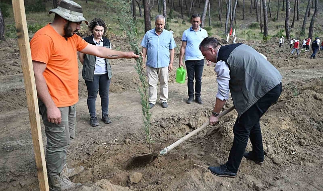 Cumhuriyet'in 100'üncü yılında 1923 fidan dikildi