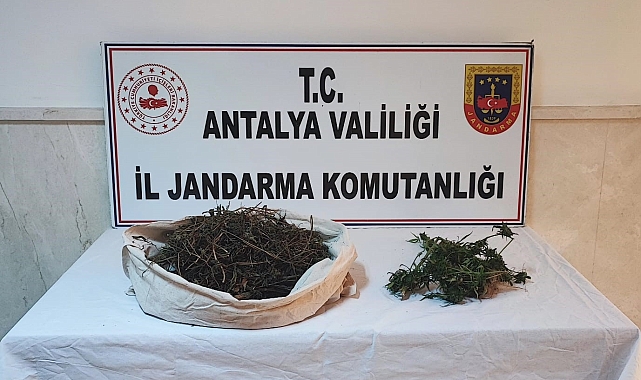 Jandarmanın "Huzurlu Sokaklar" uygulamasında çok sayıda uyuşturucu ele geçirildi