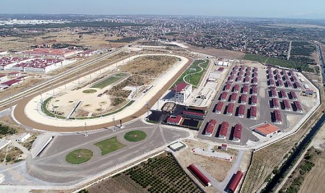 Kadınların hipodrom ilgisi