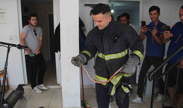 Kargo şubesine yılan girdi
