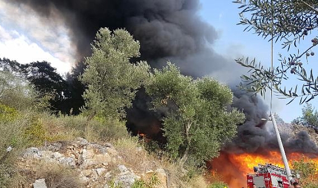 Muğla'da orman yangını