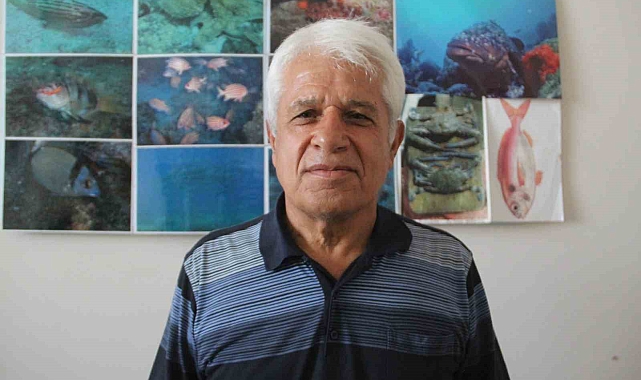 Müren balığının yem için balon balıklarına saldırdığı anlar kameralara yansıdı