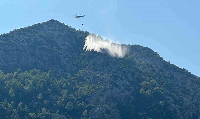 Yıldırım düşmesi sonucu çıkan yangın havadan yapılan müdahaleyle söndürüldü