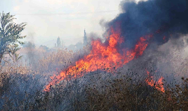 Yol kenarındaki boş araziye bırakılan çöpler yangına neden oldu