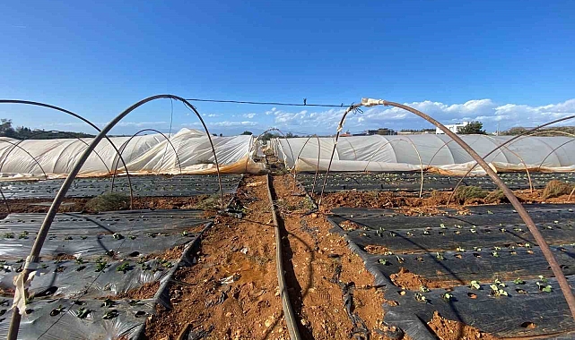 Antalya'da fırtına seralara da zarar verdi
