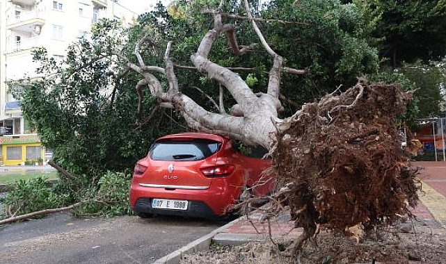 Antalya'da şiddetli yağış ve fırtına; tekneler battı, ağaçlar devrildi