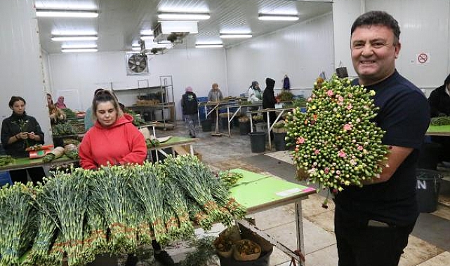 Antalya'dan Avrupa'ya 20 milyon dolarlık Noel çiçeği