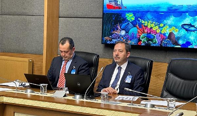 'Balıkçı barınakları doktorlara, avukatlara, sporculara kiralanmaya başlanmış'