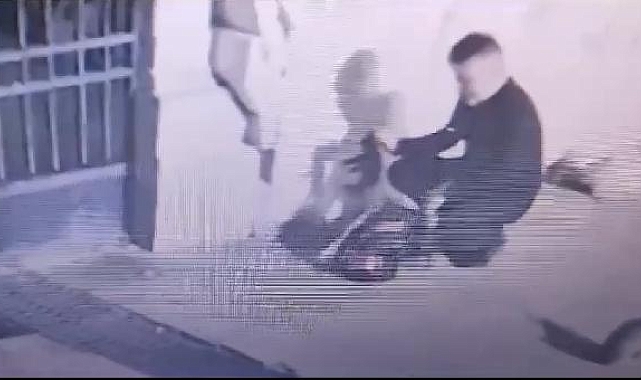 Fatih'te yavru kediyi çantasına koyan şüpheli kamerada