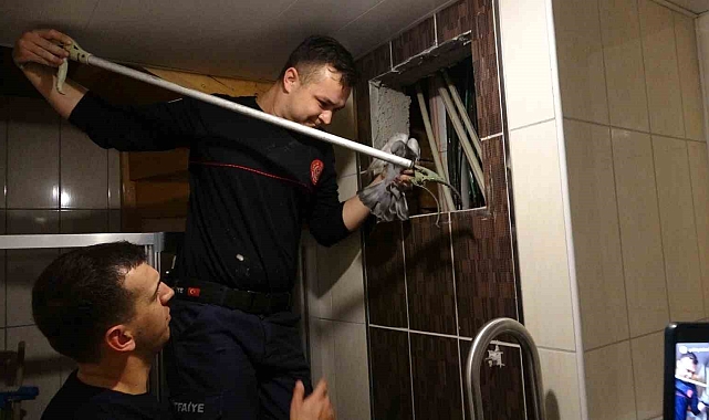 Havalandırmada mahsur kalan güvercin itfaiye ekipleri tarafından kurtarıldı