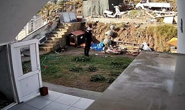 Kamyonetini durdurup kendisini takip eden köpeğe cisimle vurup kaçtı