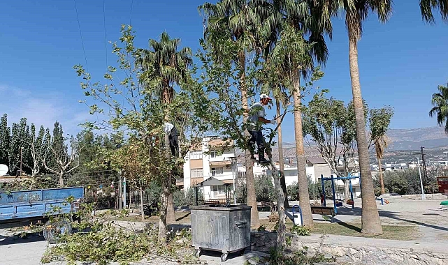 Mut'ta yol, park ve bahçelerin kışlık bakımı yapılıyor