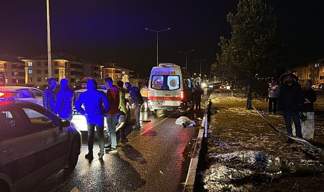 Yolun karşısına geçmeye çalışan çifte otomobil çarptı: 1 ölü, 1 yaralı