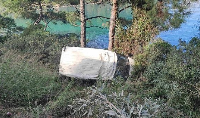 7 kişiyi denize düşmekten çam ağacı kurtardı