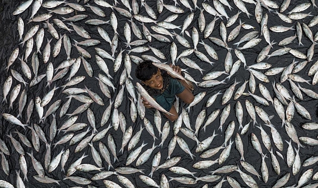 Akdeniz Belediyesinin '3. Uluslararası Fotoğraf Yarışması' sonuçlandı