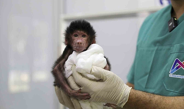 Annesi kabul etmedi ekipler bakıyor